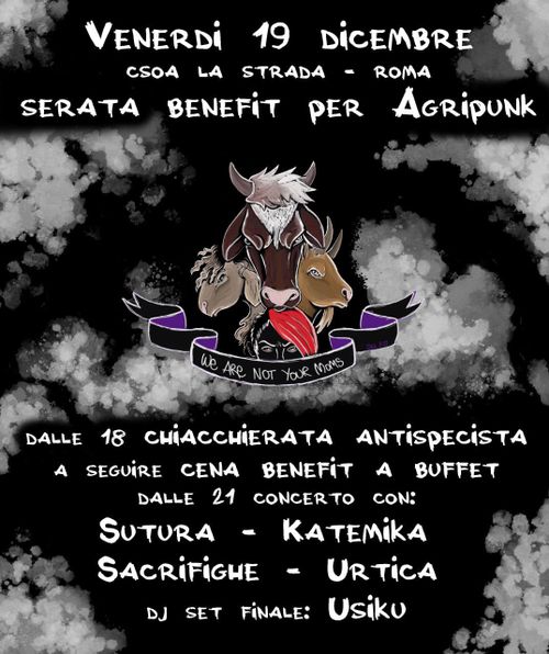 We are not your Mum - Serata benefit per Agripunk 
