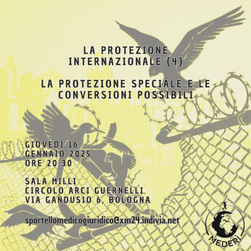 Diritto e pratica dell'immigrazione - La protezione internazionale (4)