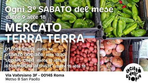 Mercato terraTERRA