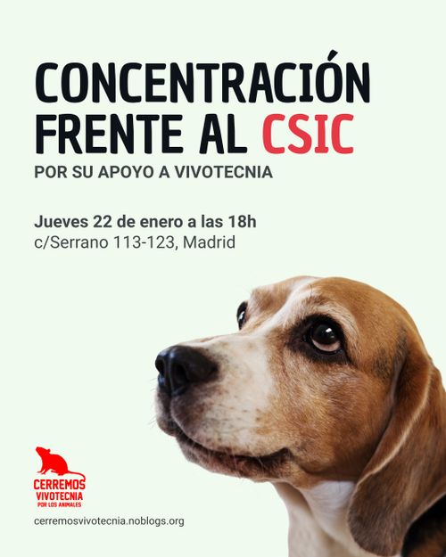 Concentración frente al CSIC por su apoyo a Vivotecnia
