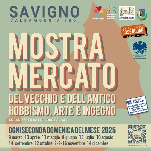 Mostra Mercato del vecchio e dell'antico - hobbismo, arte e ingegno